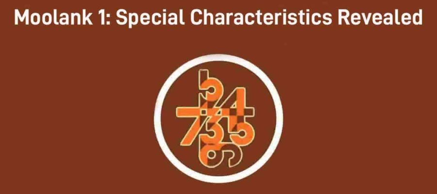 Numerology Insights 2025: Reviewing The Characteristics Of Moolank 1 Natives